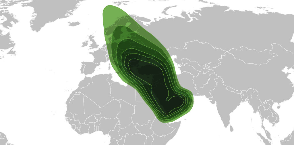 hellassat_middle_east